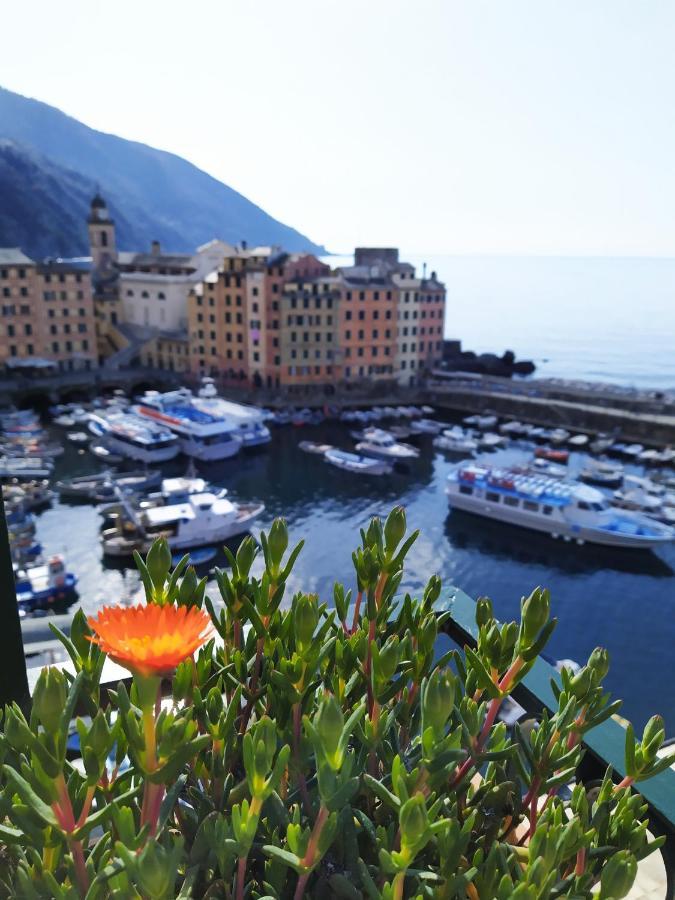 La mansarda sul Porto Camogli Exterior foto