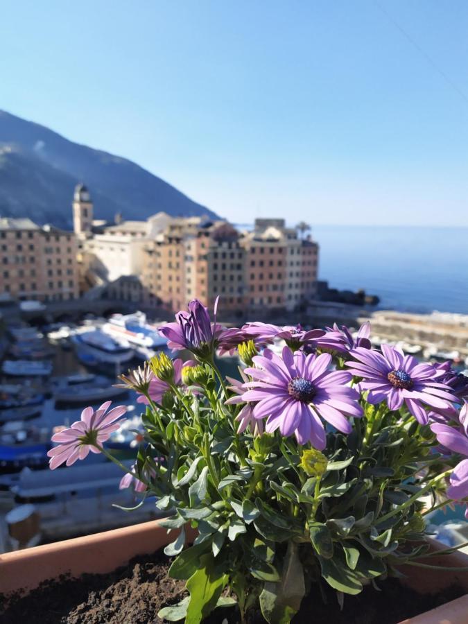 La mansarda sul Porto Camogli Exterior foto